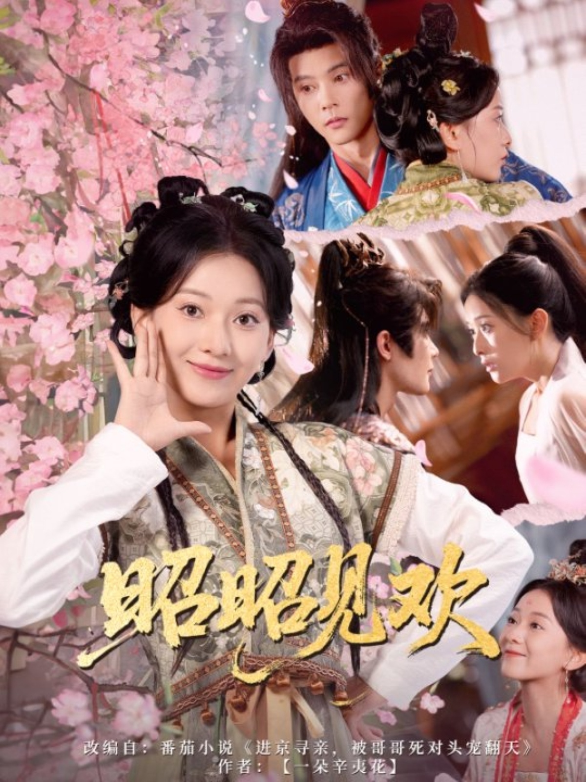 短剧 《昭昭见欢》 高清作品全集免费在线观，完整版尽享精彩  第1张