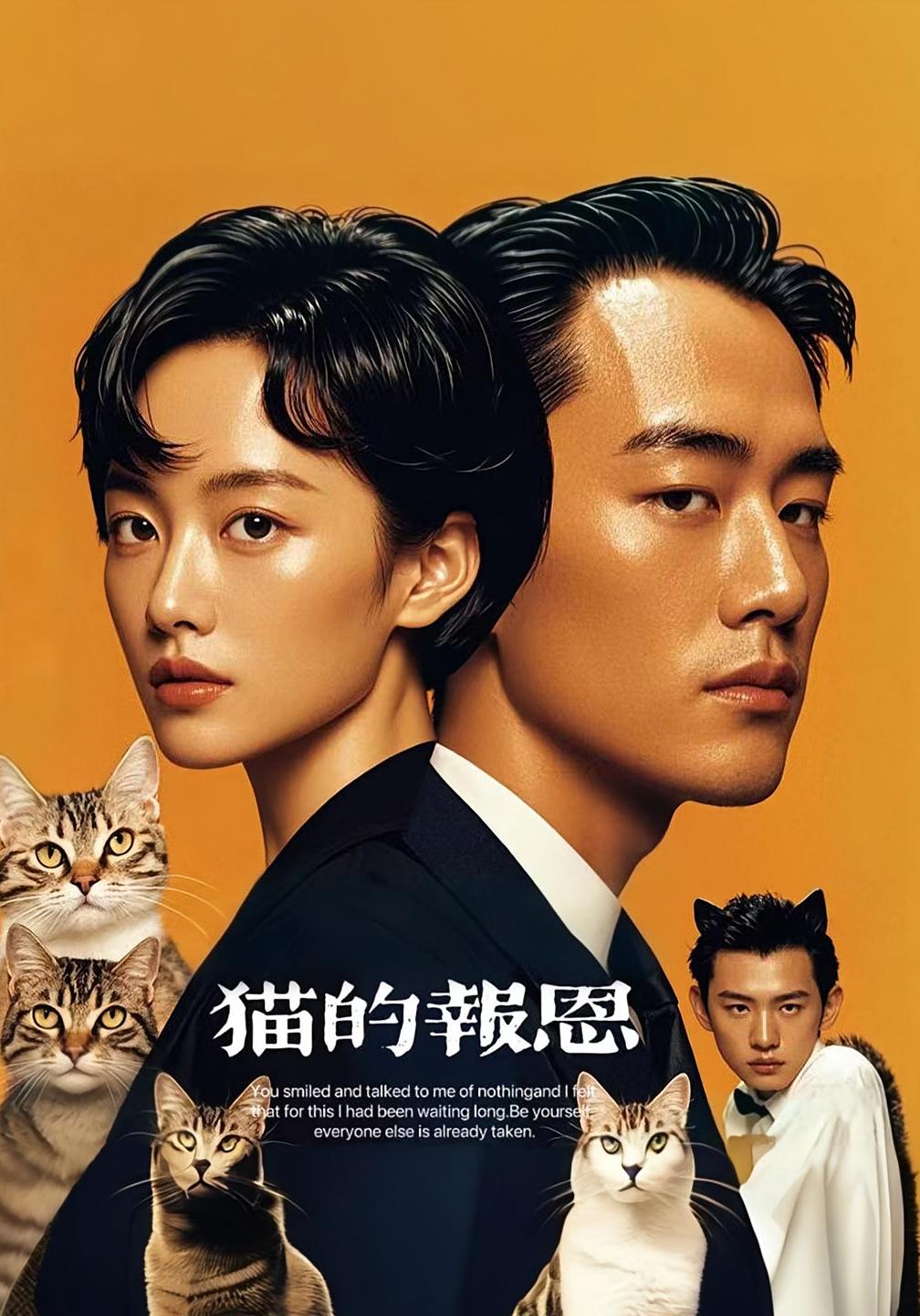 短剧 《猫的报恩》 免费高清内容全集在线，完整版观看无束缚  第1张