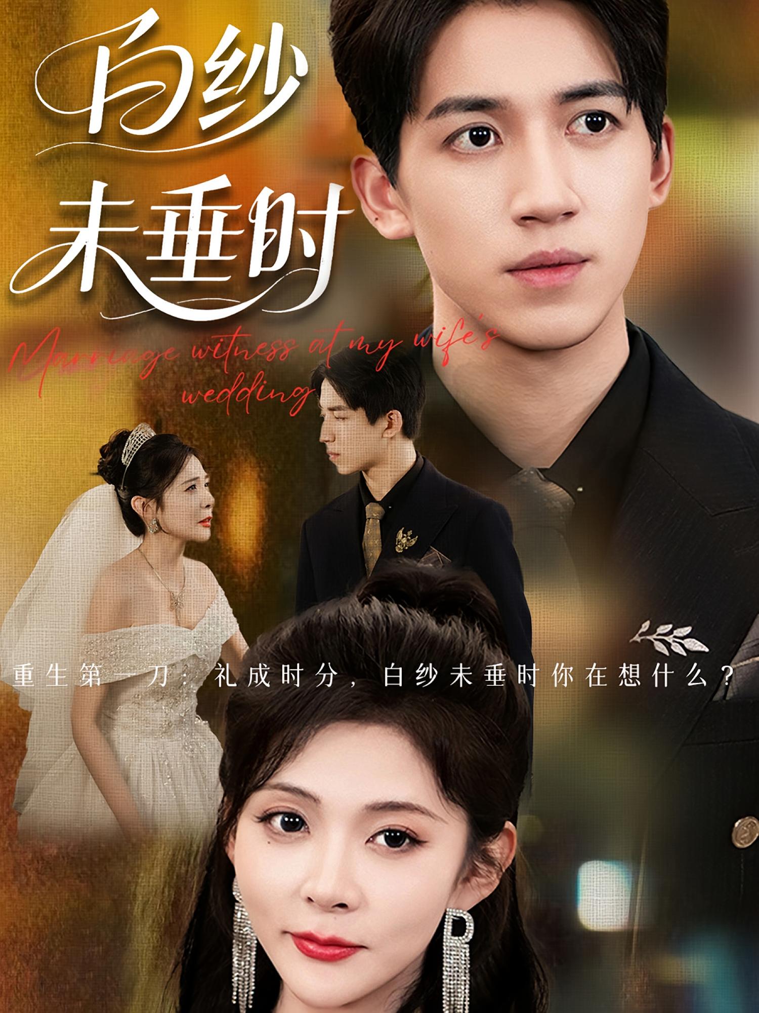 短剧 《老婆婚礼我当证婚人&amp;白纱未垂时》 高清全集无删减版在线免费看，白纱见证婚礼